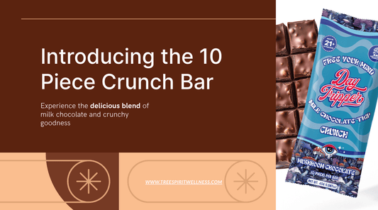 🍫 10-Piece Crunch Milk Chocolate Bar – Crispy, Creamy Indulgence! - Tree Spirit Wellness
