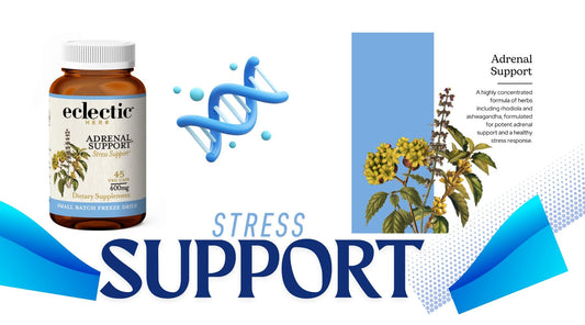 Adrenal Support: The Ultimate Guide to Managing Stress and Boosting Energy Naturally 🌿✨ - Tree Spirit Wellness
