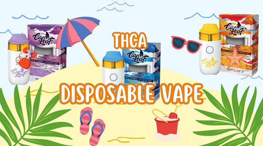 Caleaf Vape: Premium THCA Disposable Vape for Ultimate Relaxation - Tree Spirit Wellness