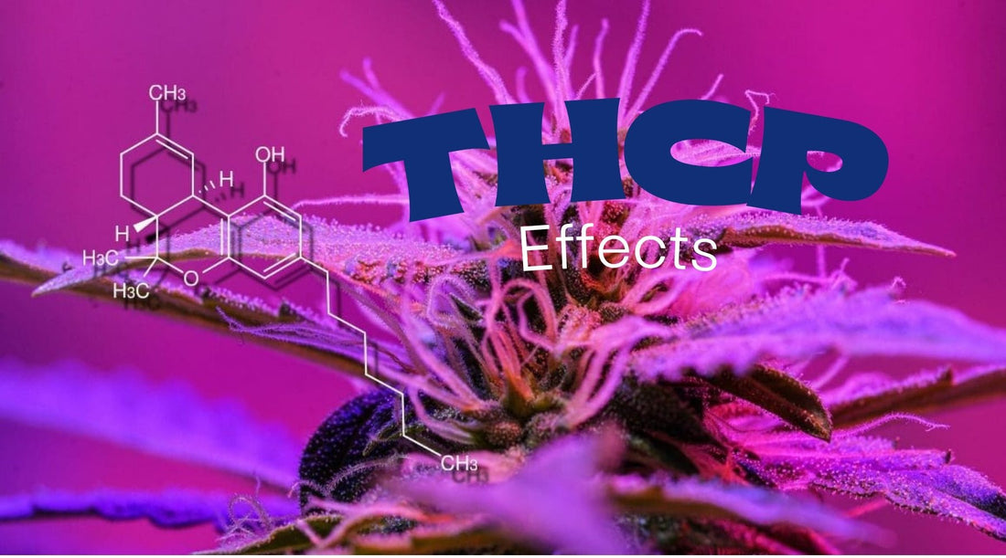 THCP Effects Explained: The Strongest Cannabinoid Youâve Never Heard Of - Tree Spirit Wellness