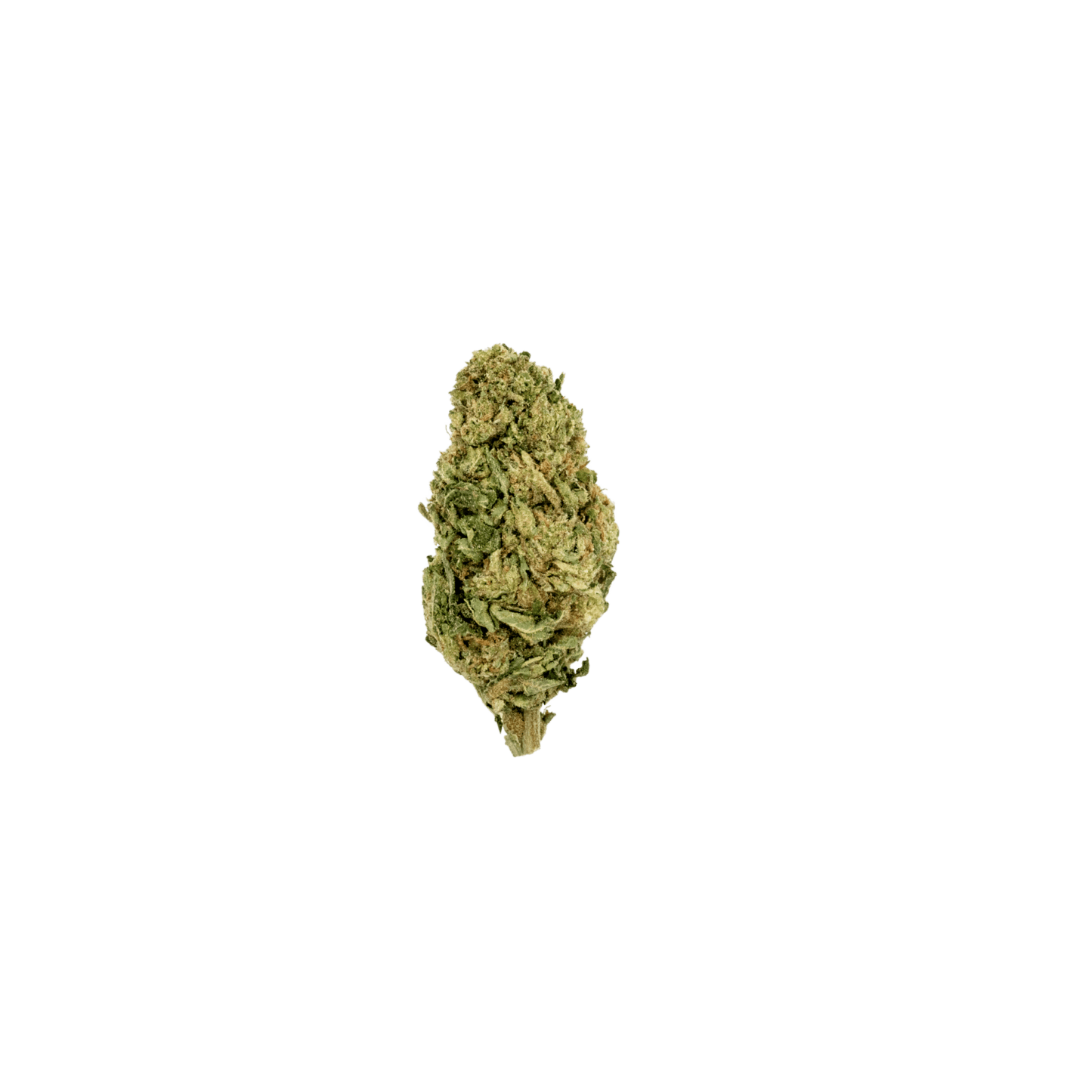 Acapulco Gold BOUTIQUE THCA FLOWER - Sativa (8ct) - Tree Spirit Wellness