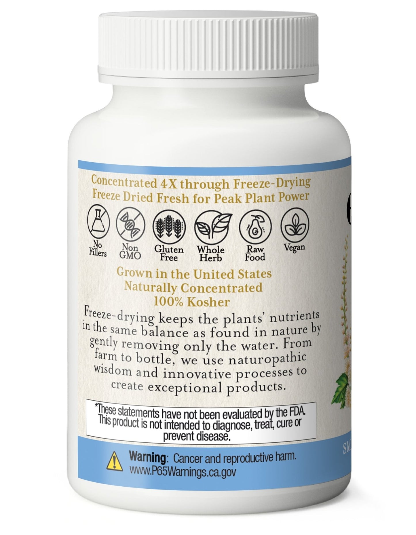 BLACK COHOSH CAPSULES - Tree Spirit Wellness