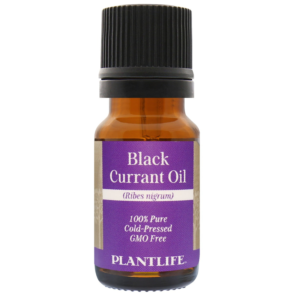 Carrier oil - Black Currant Oil