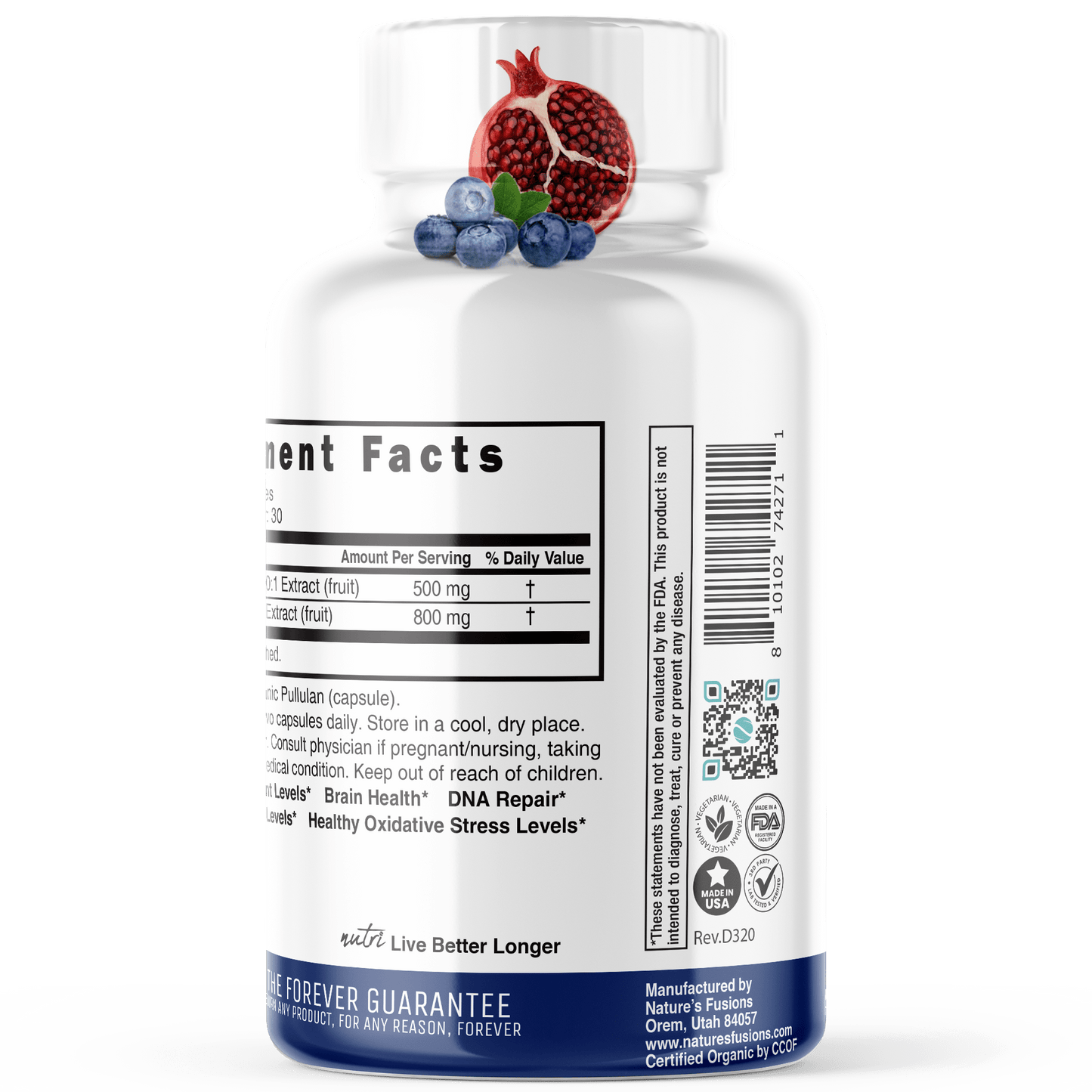 Blueberry & Pomegranate Extracts 1300mg - ORGANIC - Tree Spirit Wellness