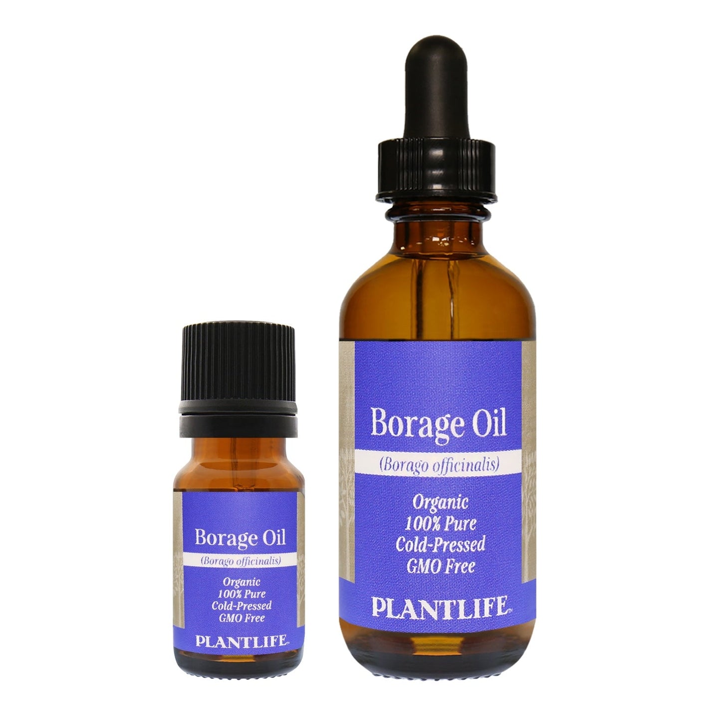 Borage Oil - Tree Spirit Wellness