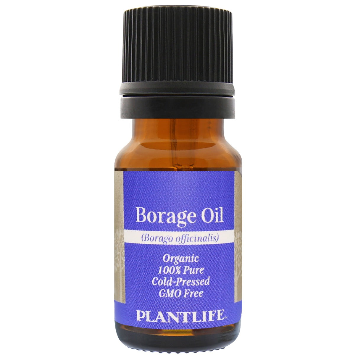 Borage Oil - Tree Spirit Wellness