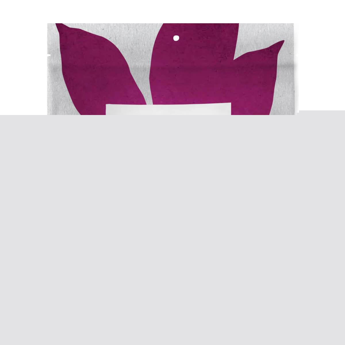 Cacao Nibs | Raw | Certified Organic | Fermented | 8 oz | Case of 6 - Tree Spirit Wellness