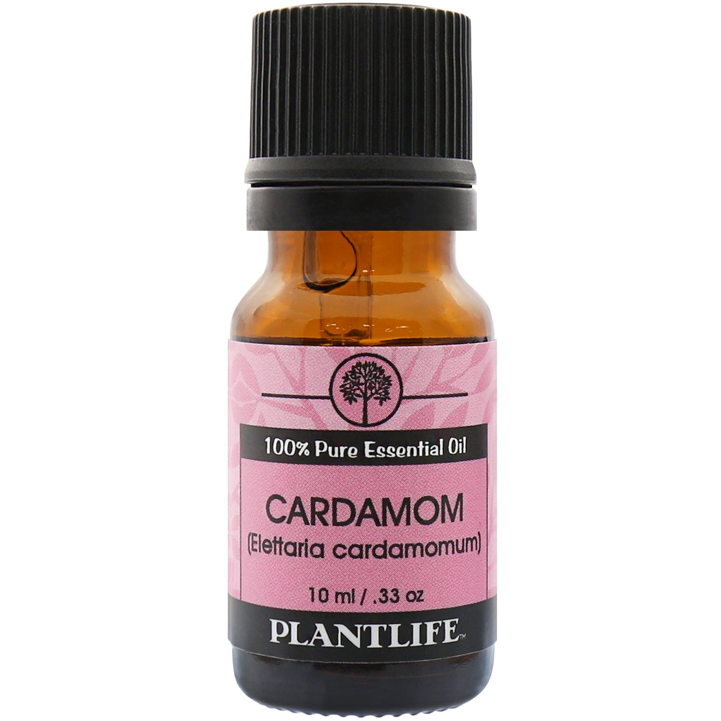 Cardamom Essential Oil - Tree Spirit Wellness