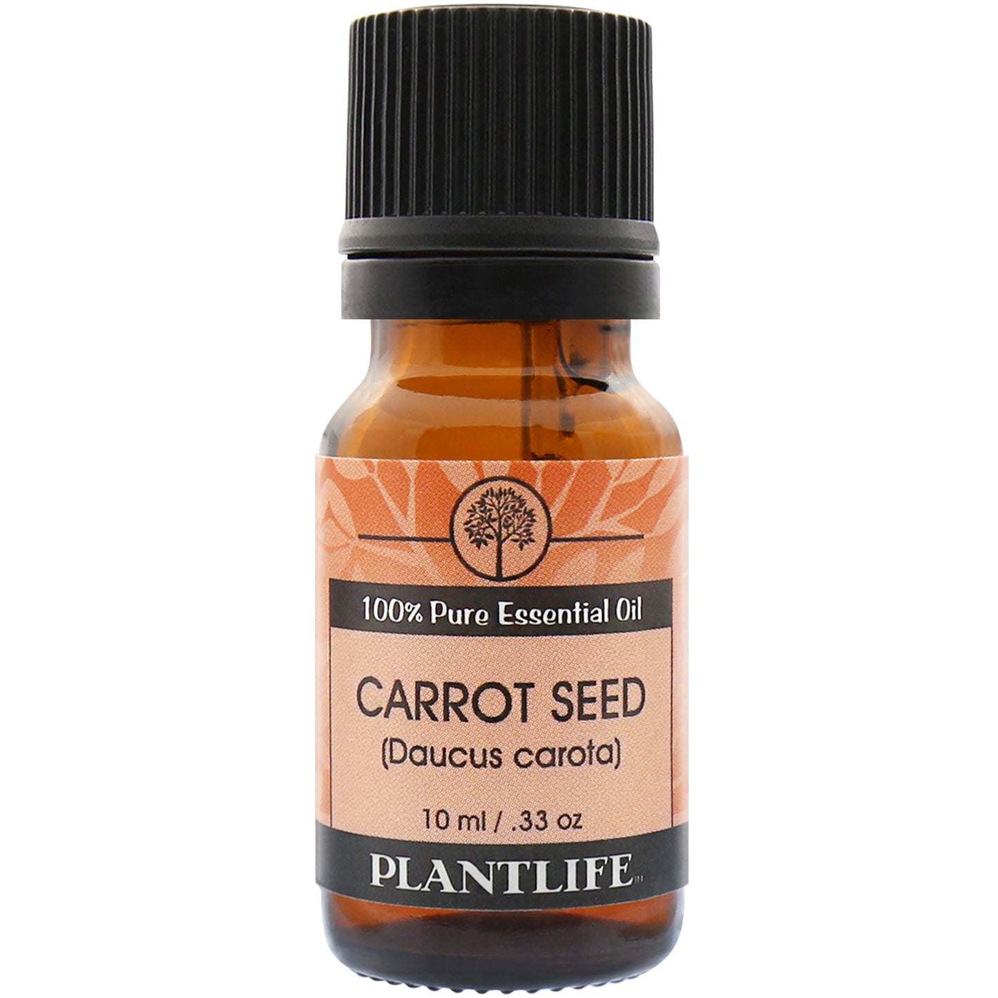 Carrot Seed Essential Oil - Tree Spirit Wellness