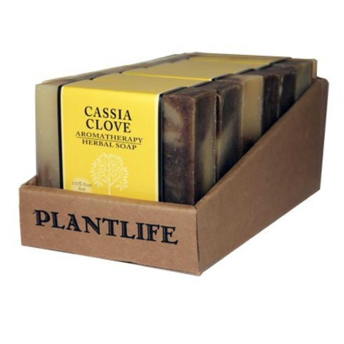 Cassia Clove Bar Soap - box of 6 - Tree Spirit Wellness