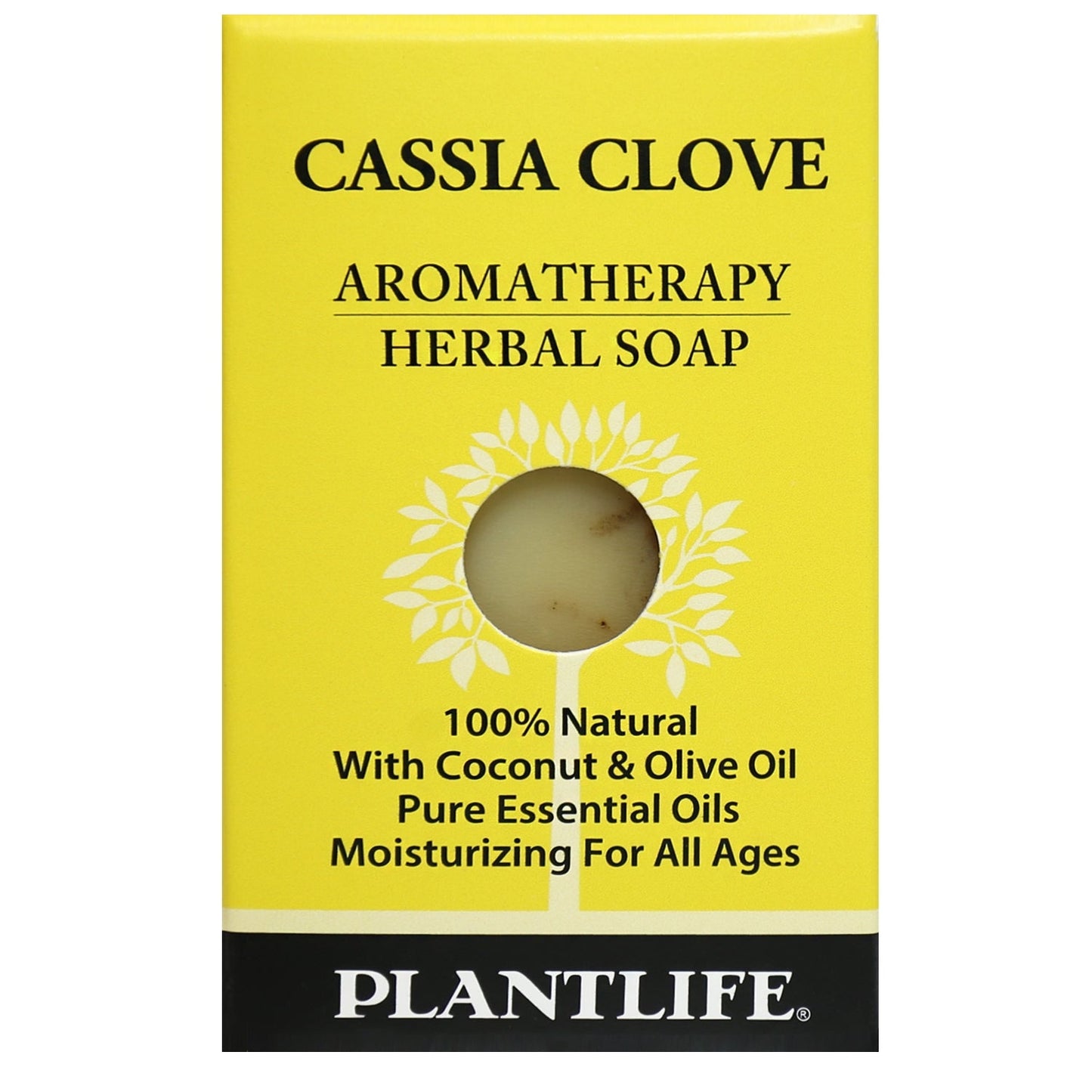 Cassia Clove Soap Sample- Tree Spirit Wellness