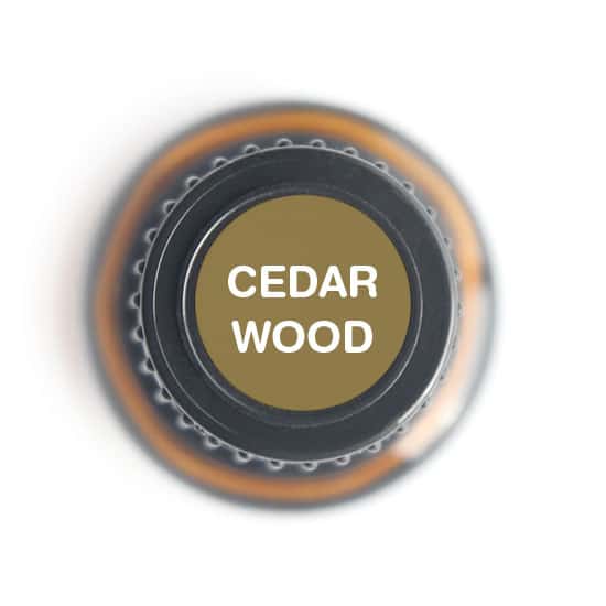 cedarwood Essential oil - 15ml - Tree Spirit Wellness