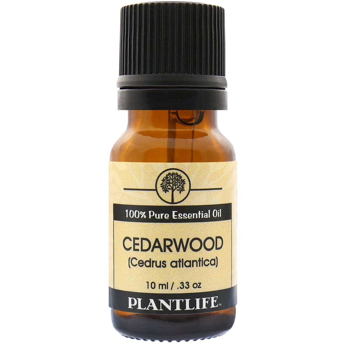 Cedarwood Essential Oil - Tree Spirit Wellness