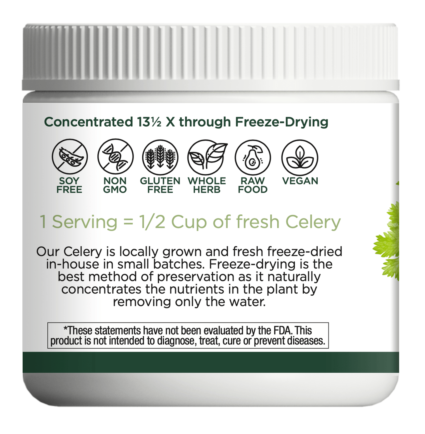 CELERY JUICE - Tree Spirit Wellness
