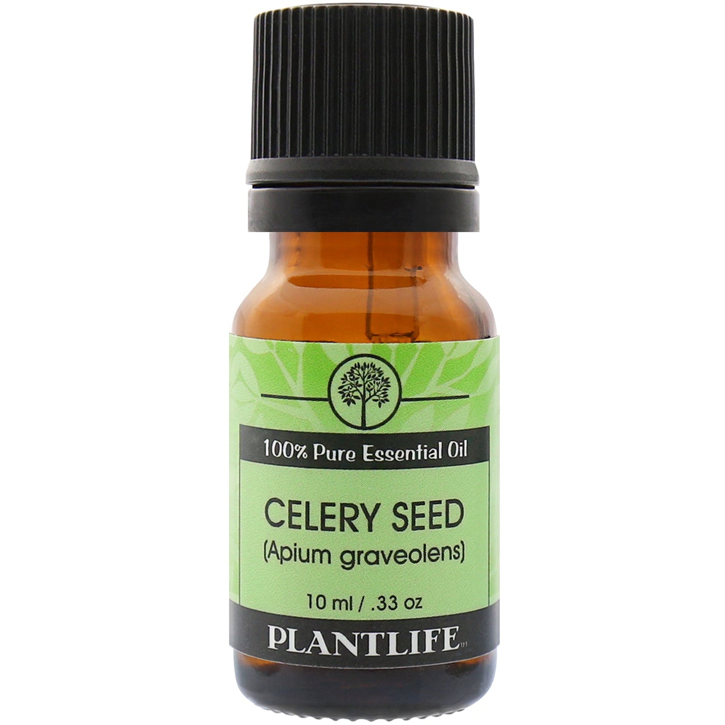 Celery Seed Essential Oil - Tree Spirit Wellness