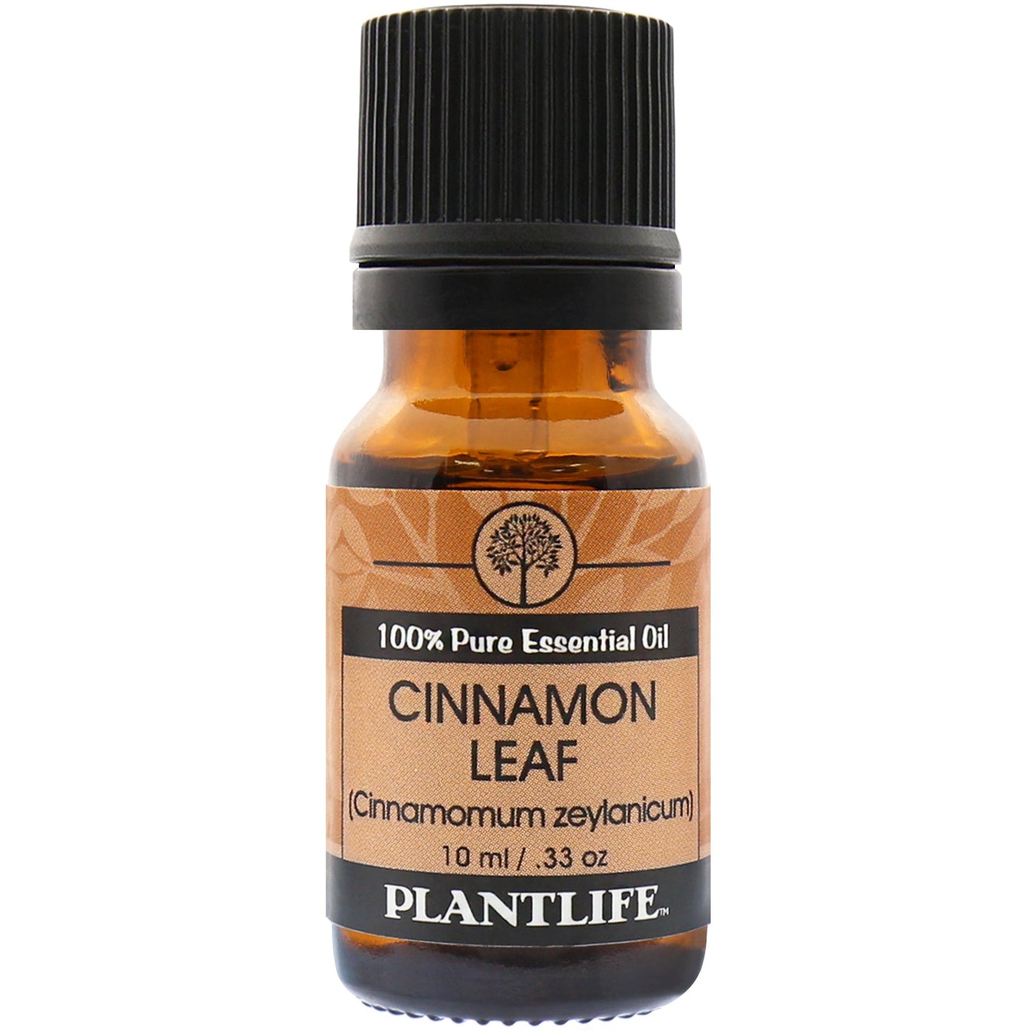 Cinnamon Leaf Essential Oil - Tree Spirit Wellness
