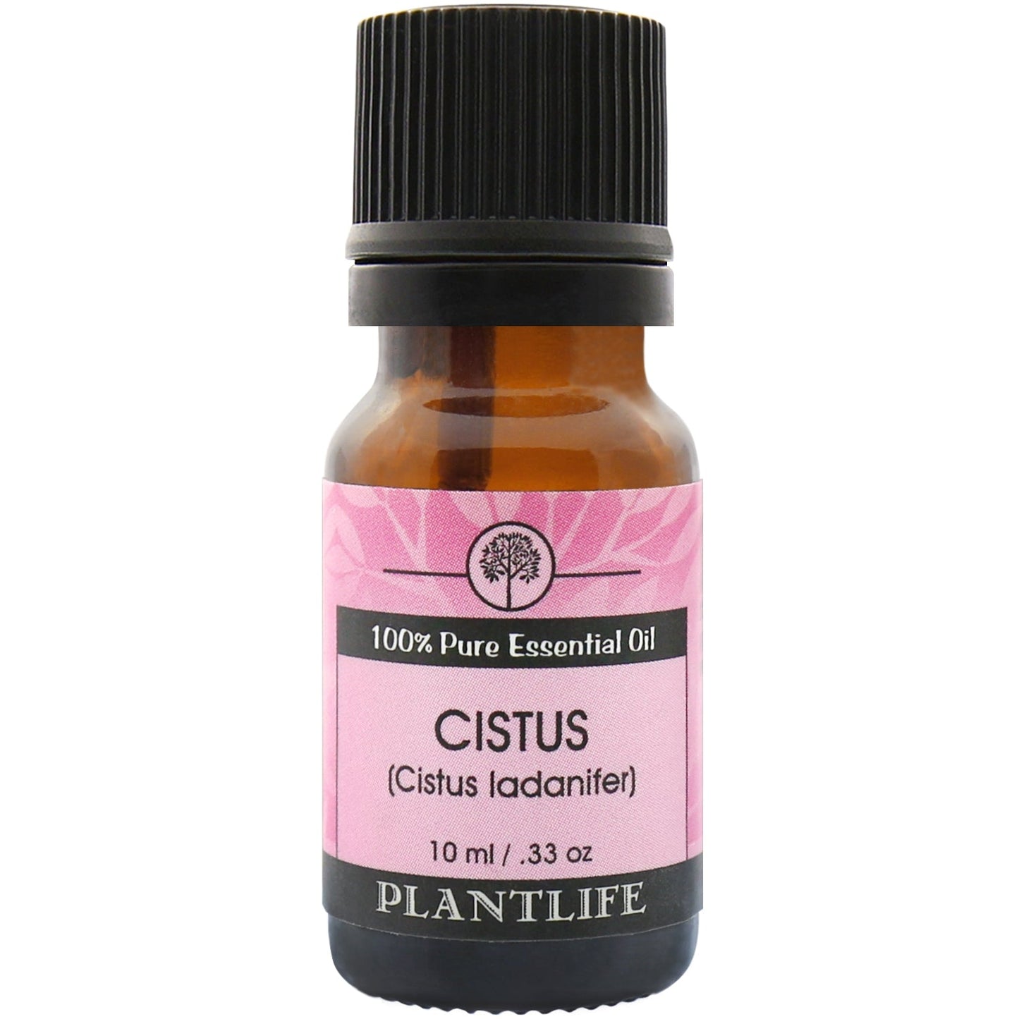 Cistus Essential Oil - Tree Spirit Wellness