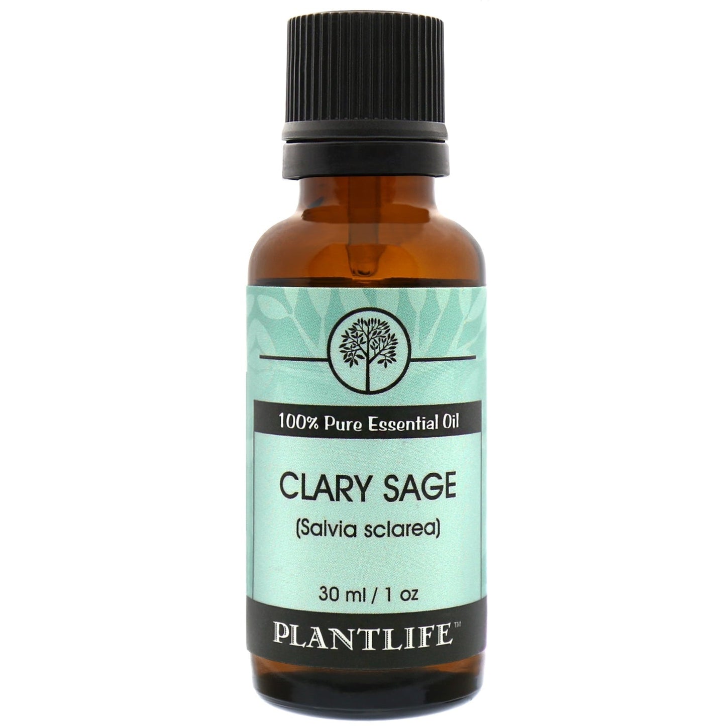 Clary Sage Essential Oil - Tree Spirit Wellness