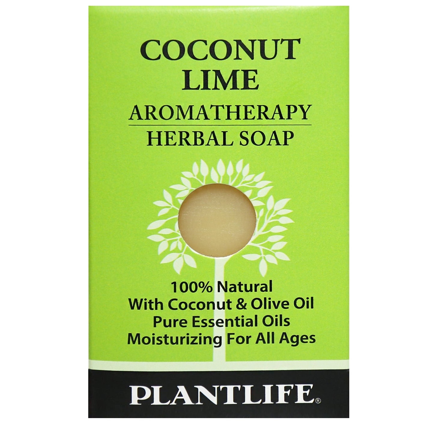 Coconut Lime Soap Sample- Tree Spirit Wellness