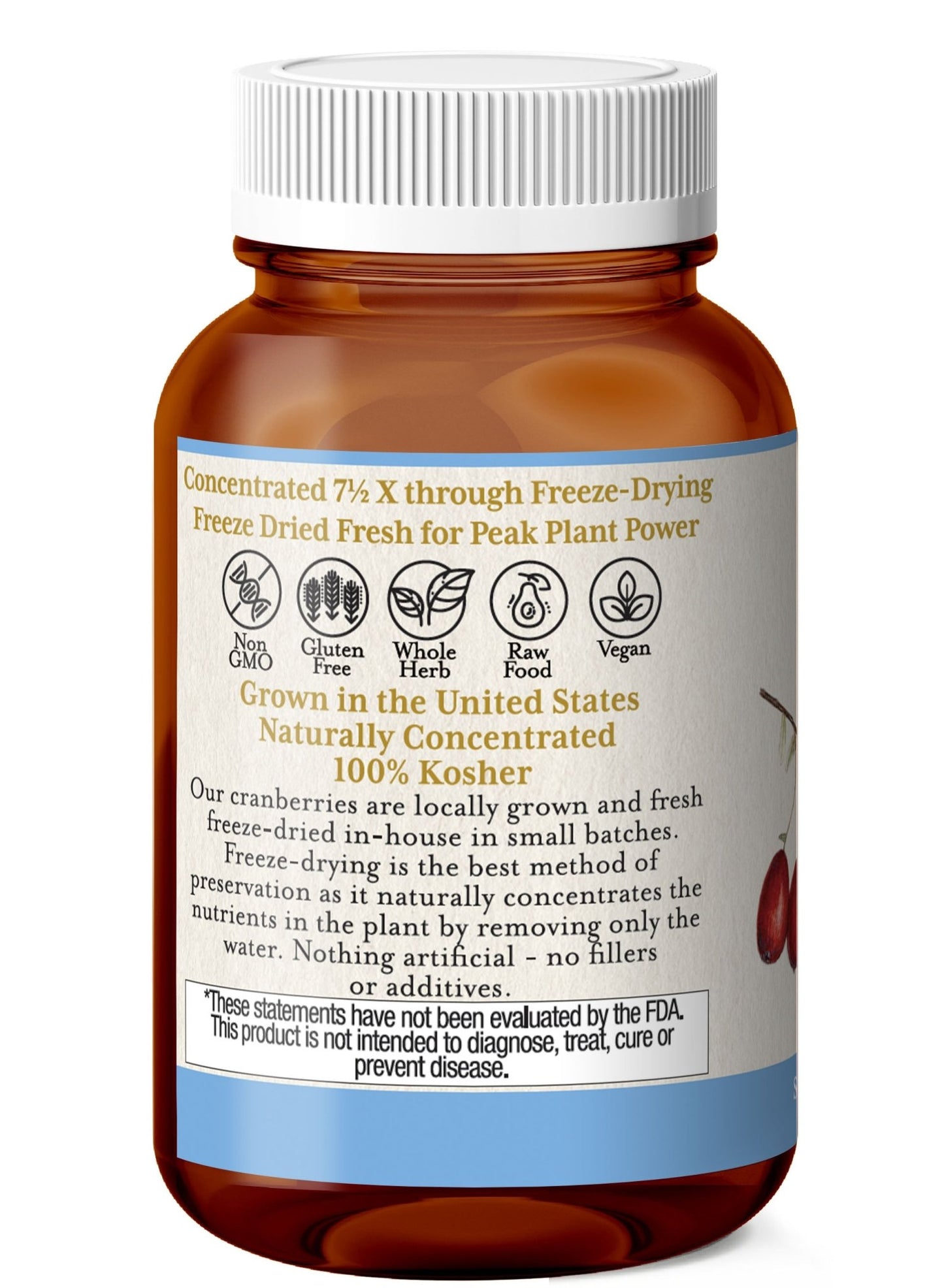 CRANBERRY CAPSULES - Tree Spirit Wellness