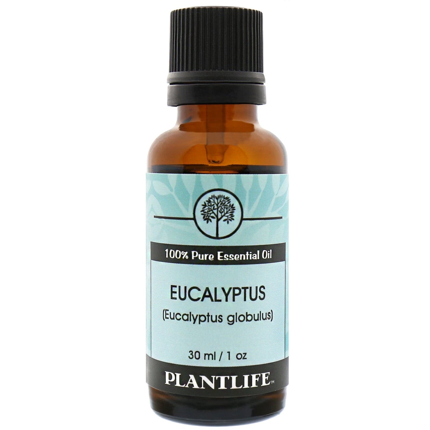 Eucalyptus Essential Oil - Tree Spirit Wellness