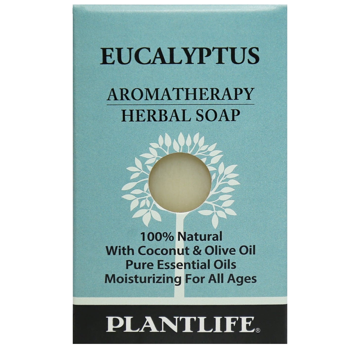 Eucalyptus Soap Sample- Tree Spirit Wellness