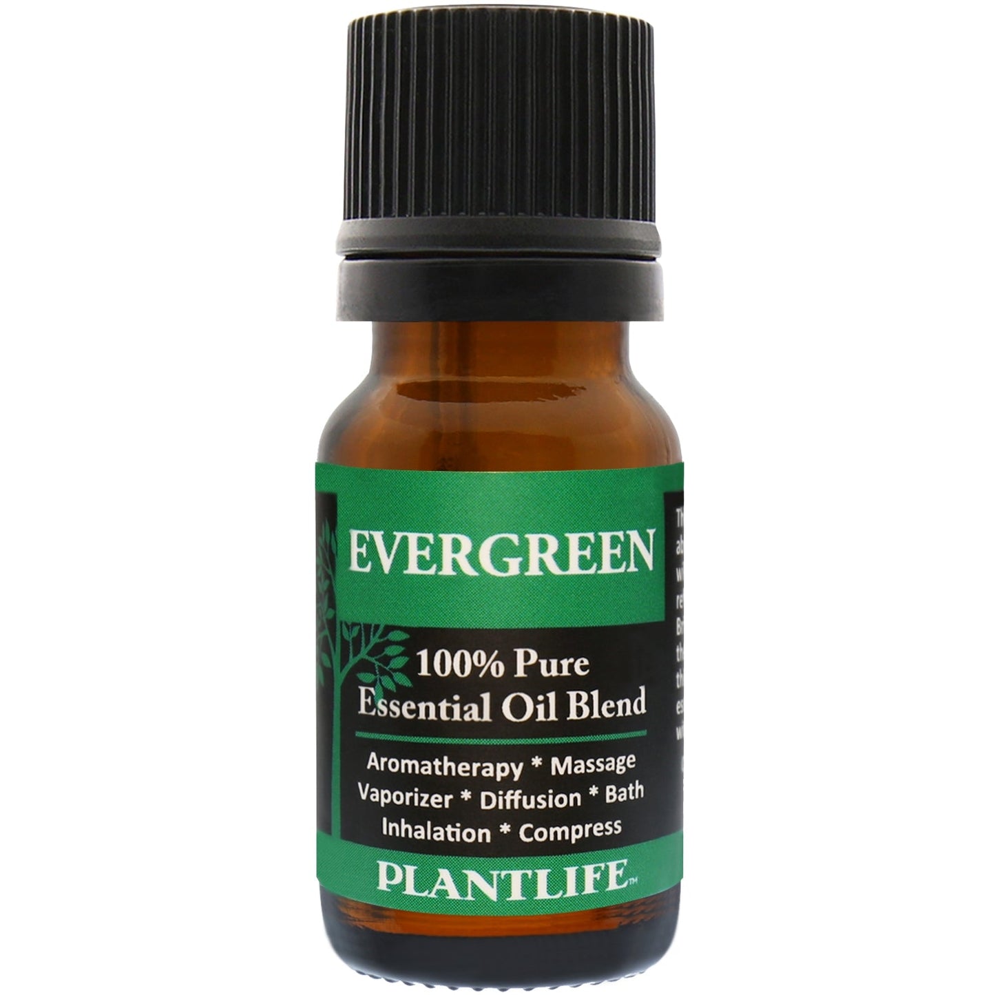 Evergreen Essential Oil - Tree Spirit Wellness