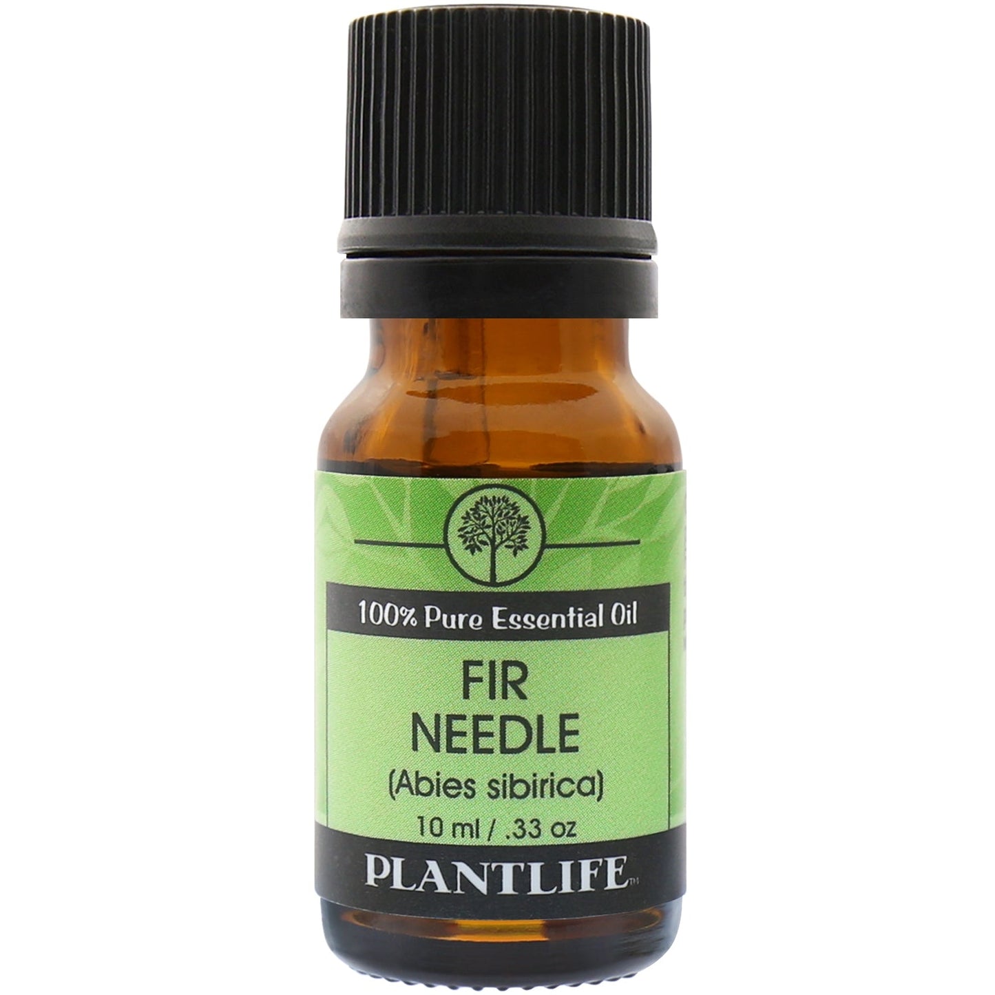 Fir Needle Organic Essential Oil - Tree Spirit Wellness