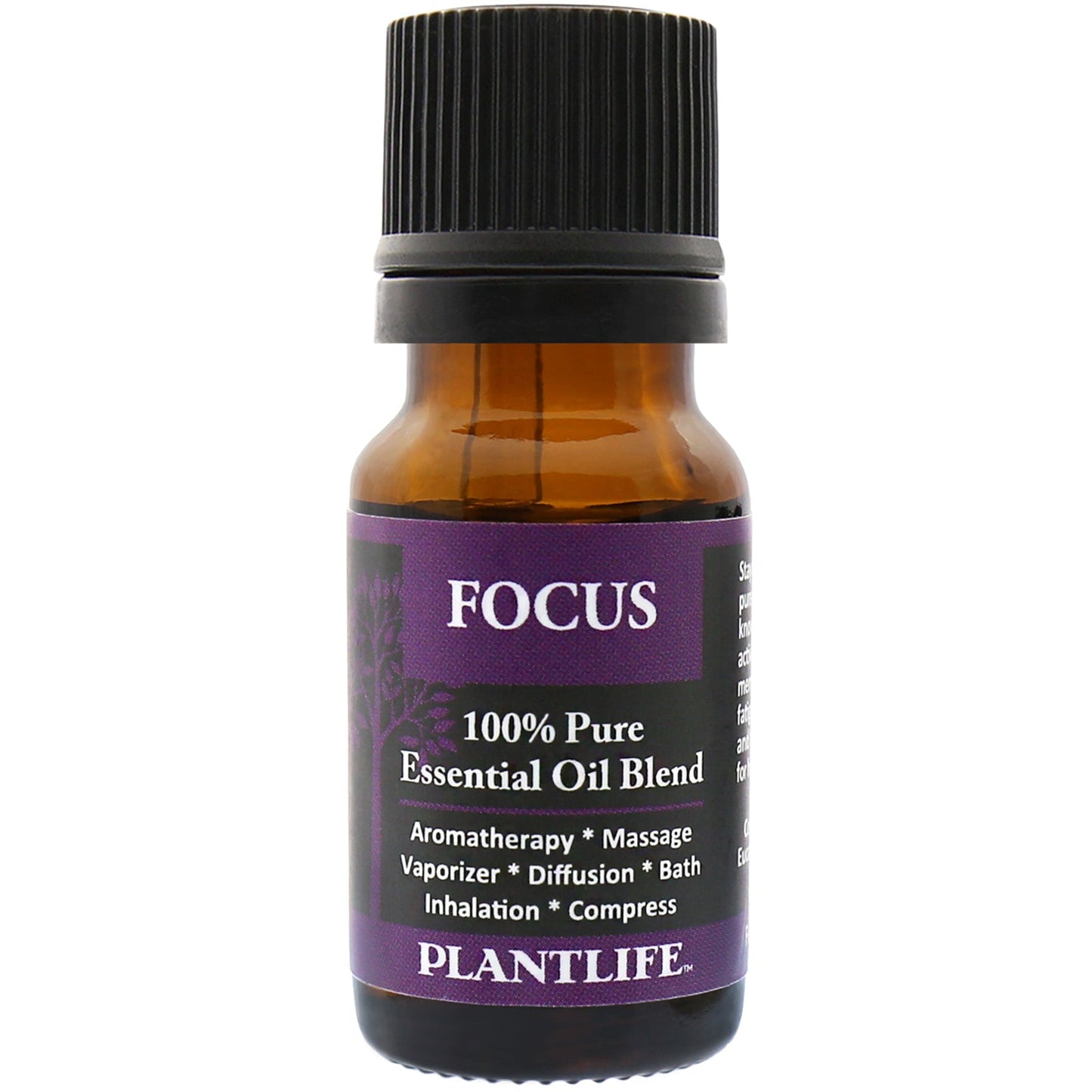 Focus Essential Oil Blend - Tree Spirit Wellness