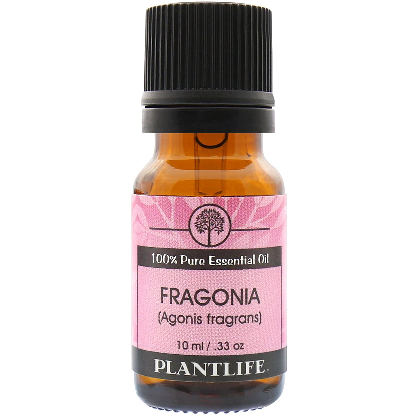 Fragonia Essential Oil - Tree Spirit Wellness