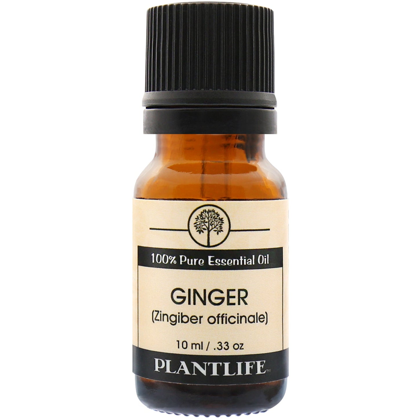 Ginger Organic Essential Oil - Tree Spirit Wellness