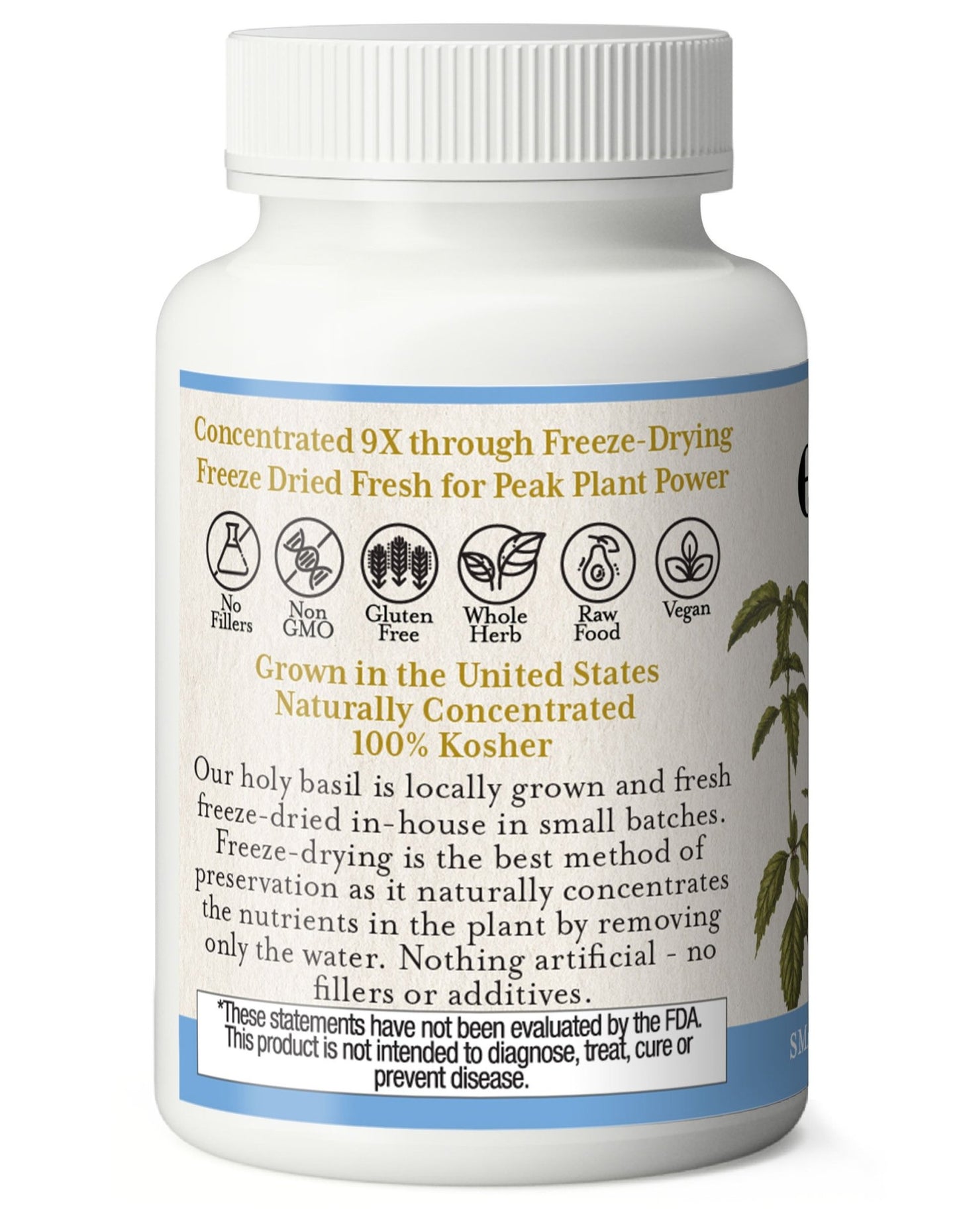 HOLY BASIL CAPSULES - Tree Spirit Wellness