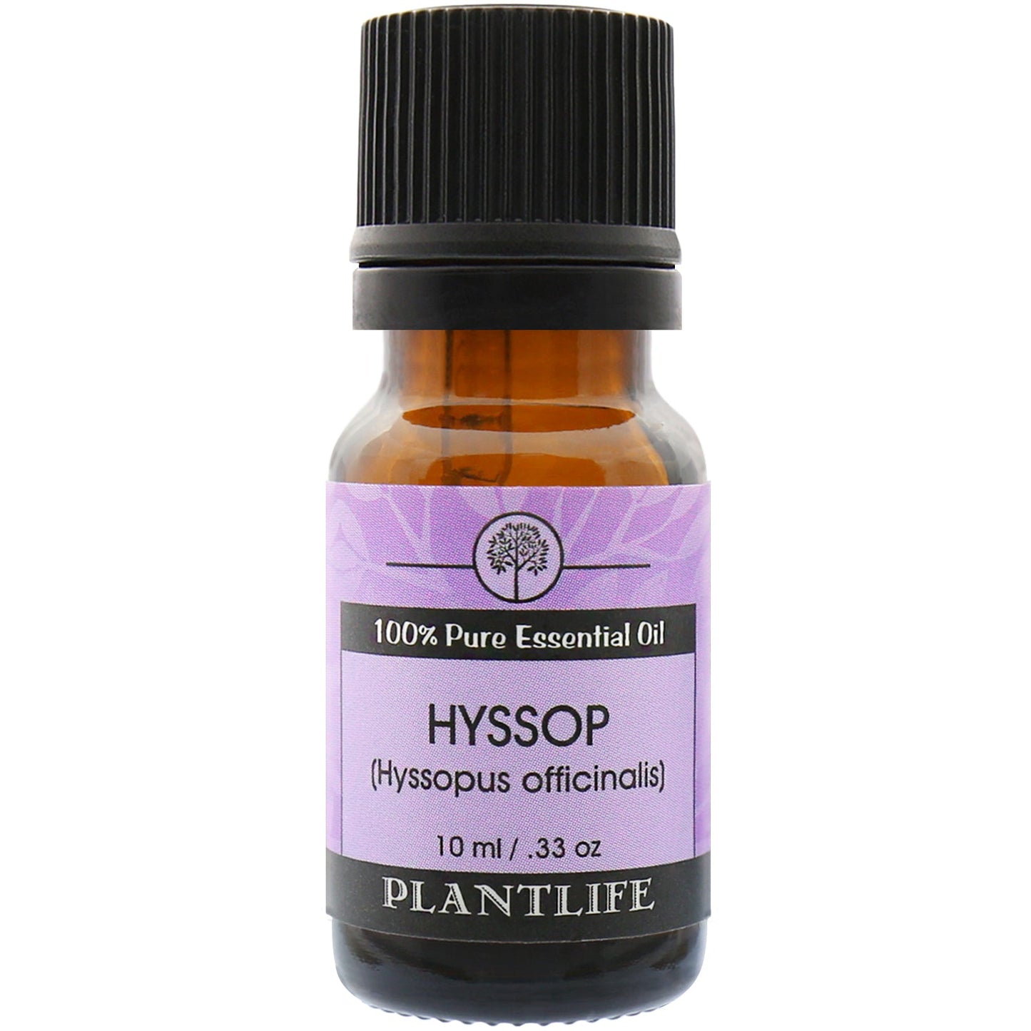 Hyssop Essential Oil - Tree Spirit Wellness