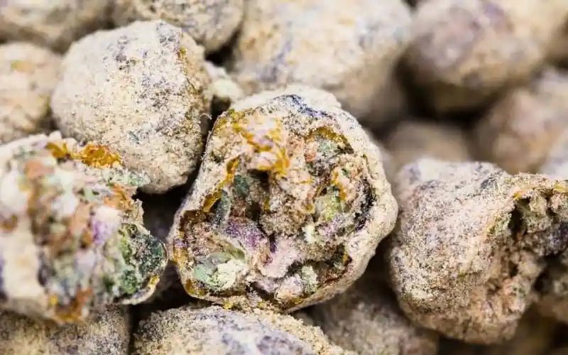 JGO Moonrocks 7g Jars - Tree Spirit Wellness