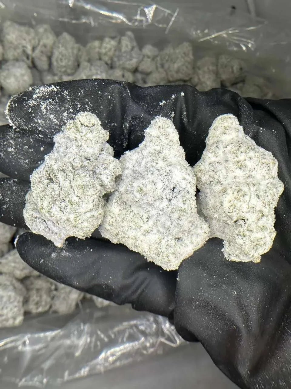 JGO THCa Diamond Infused 7g Flower Jar (SNOW BUDZ) - Tree Spirit Wellness