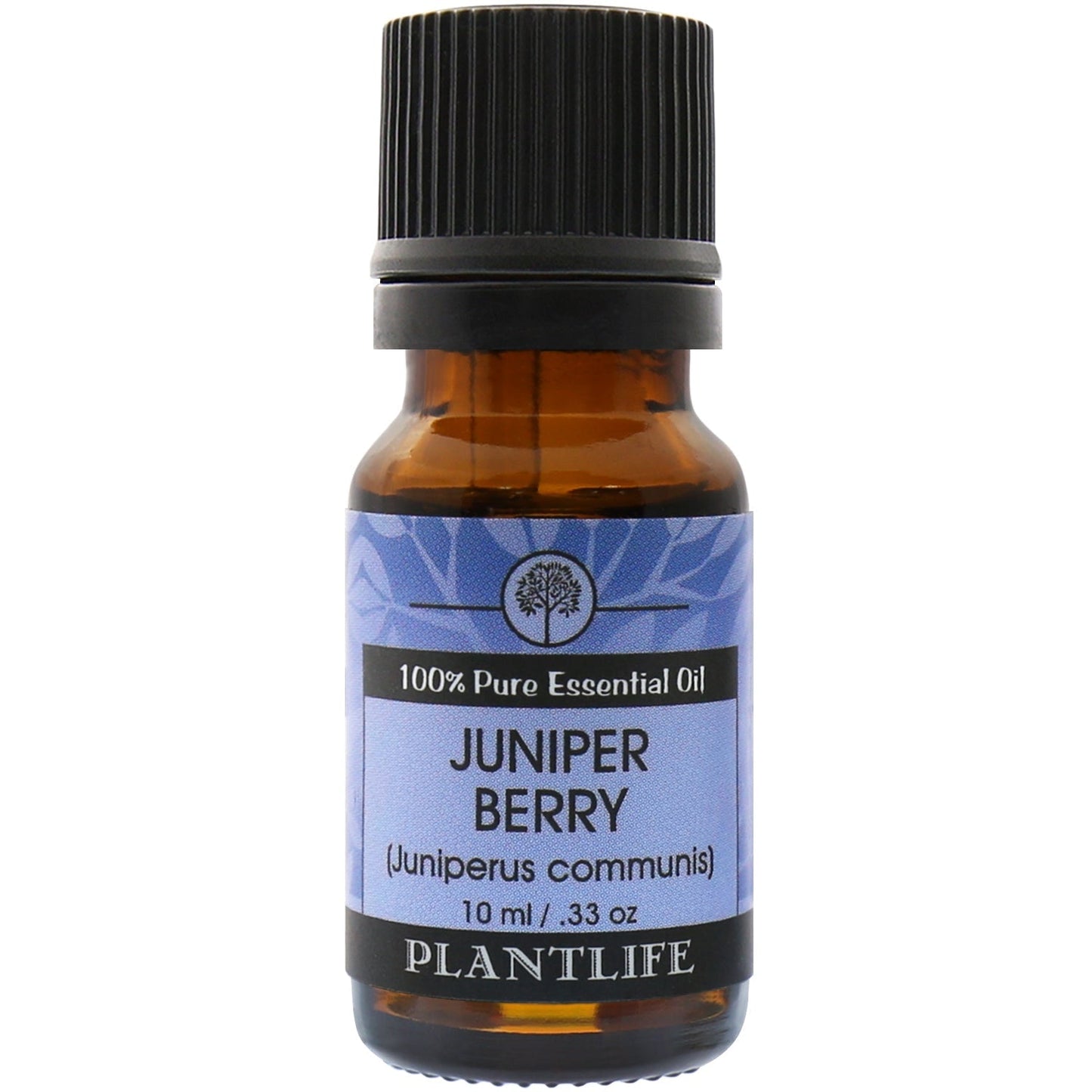 Juniper Berry Essential Oil - Tree Spirit Wellness