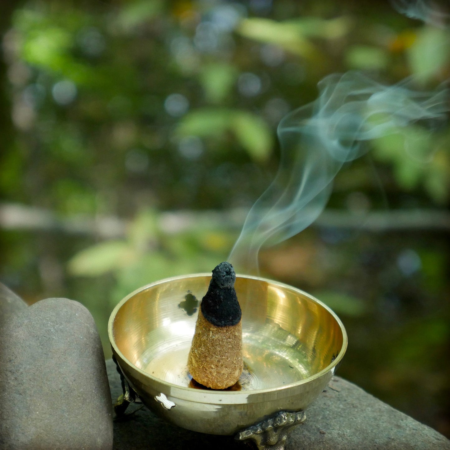 Kit - Palo Santo Wild Herbs Cones with Burner - Tree Spirit Wellness