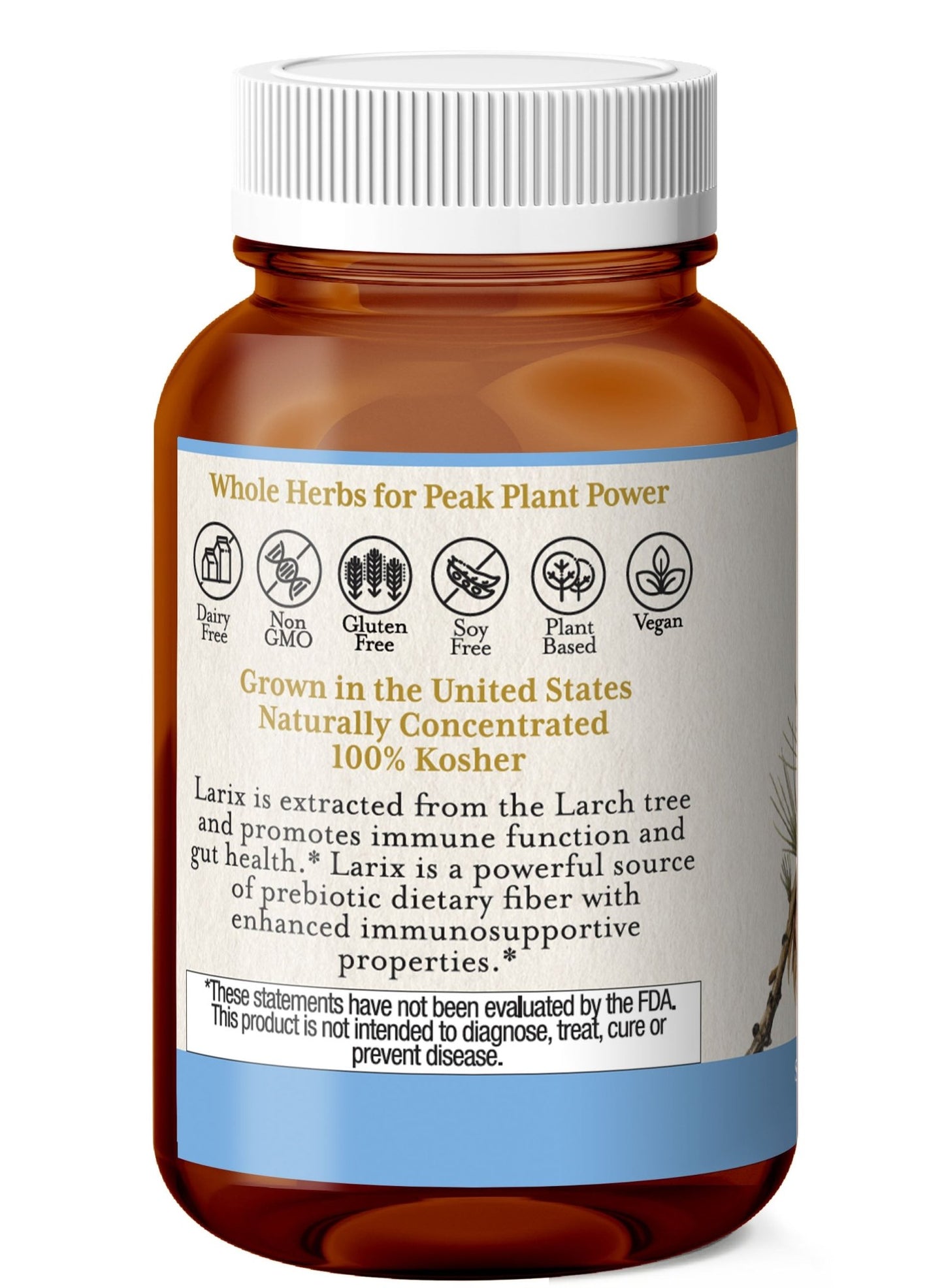 LARIX CAPSULES - Tree Spirit Wellness