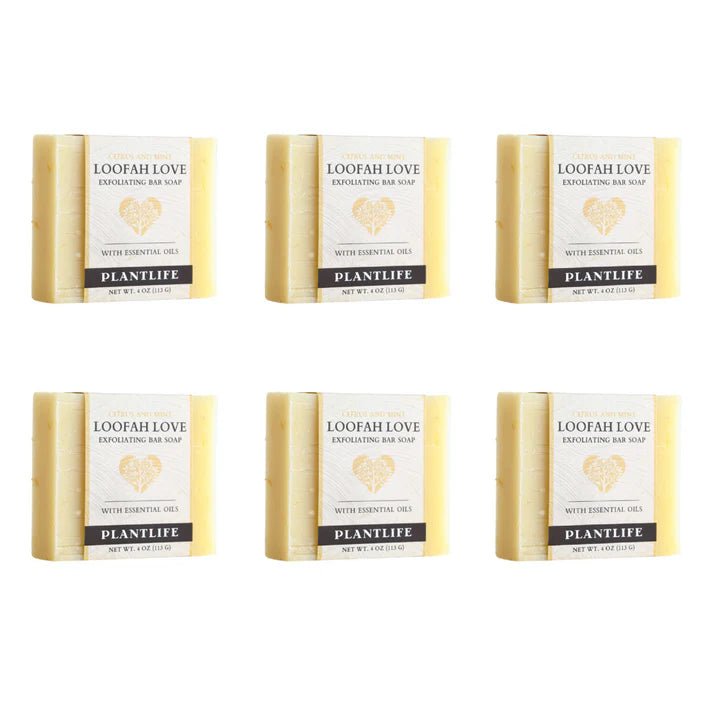 Loofah Love Exfoliating Bar Soap - box of 6 - Tree Spirit Wellness