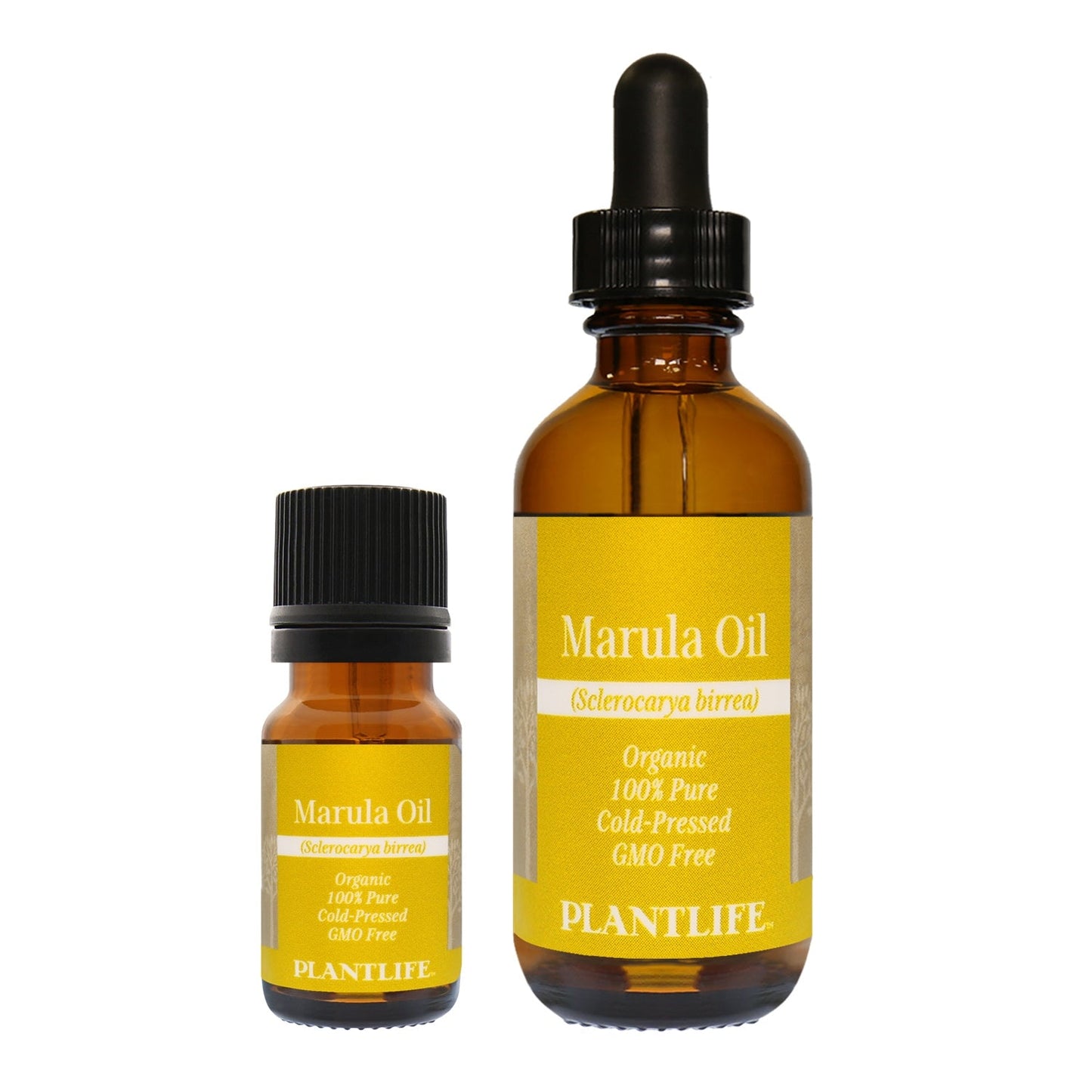 Marula Oil Tree Spirit Wellness