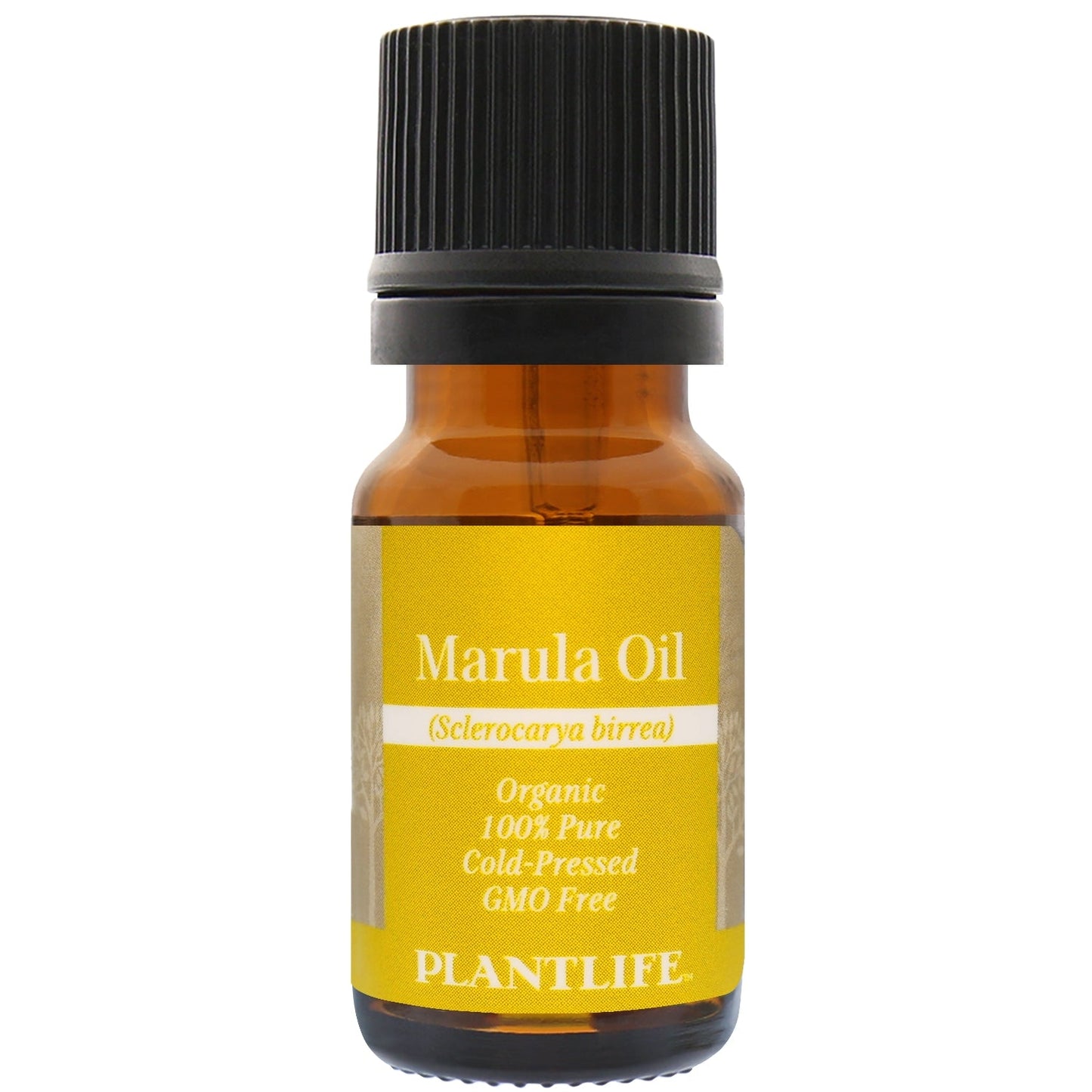 Marula Oil Tree Spirit Wellness