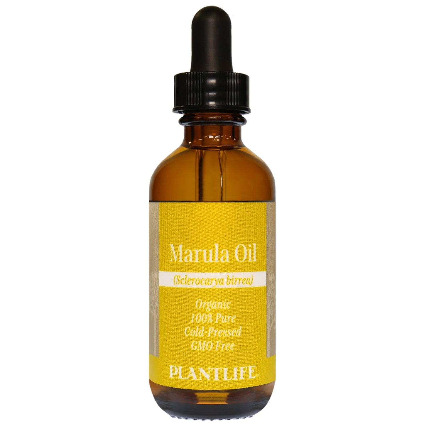 Marula Oil Tree Spirit Wellness
