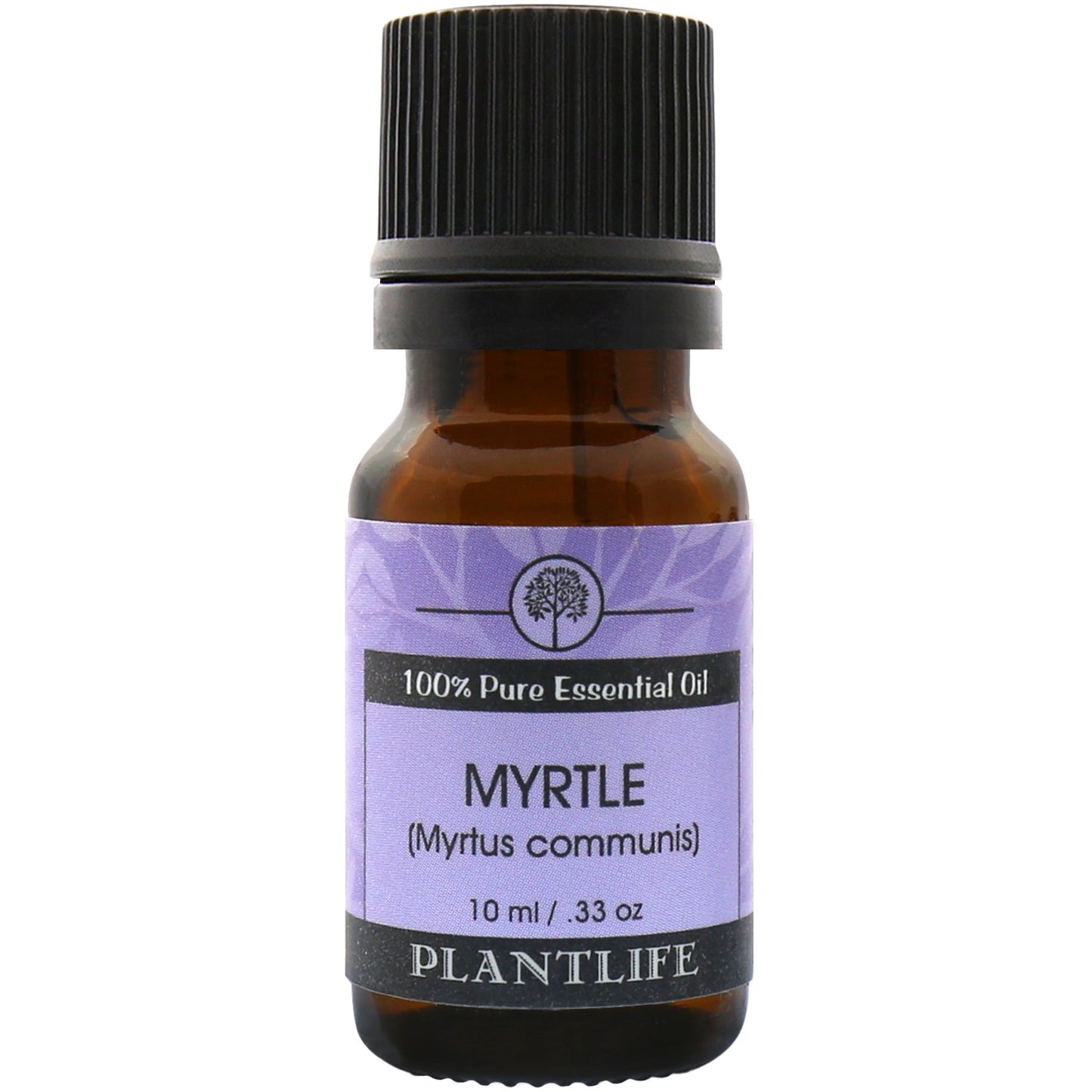 Myrtle Essential Oil - Tree Spirit Wellness