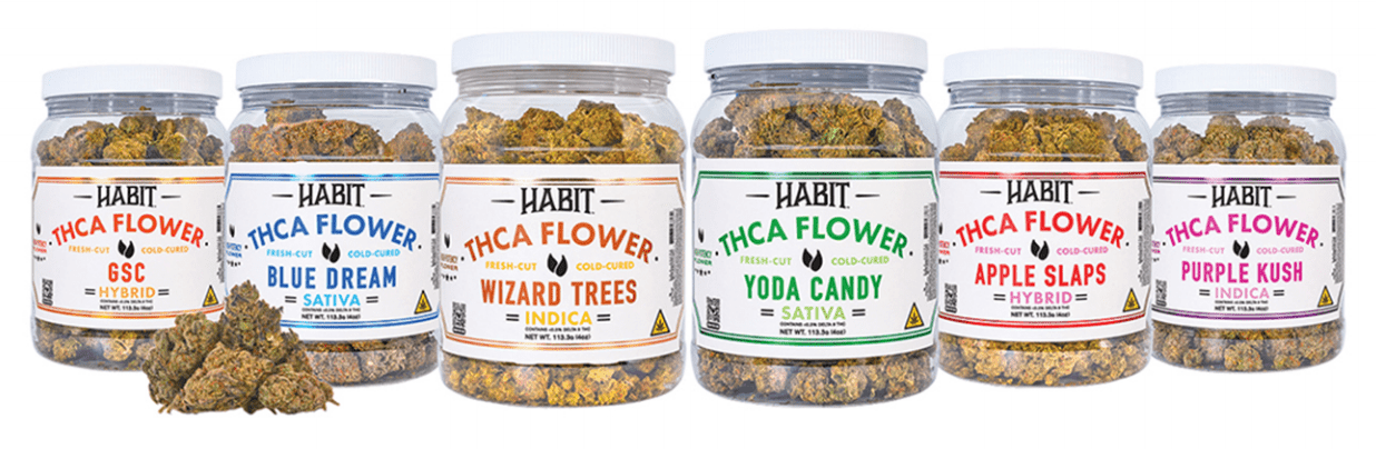 New! THCA Flower Jar Purple Kush 4oz (Indica) - BULK - Tree Spirit Wellness