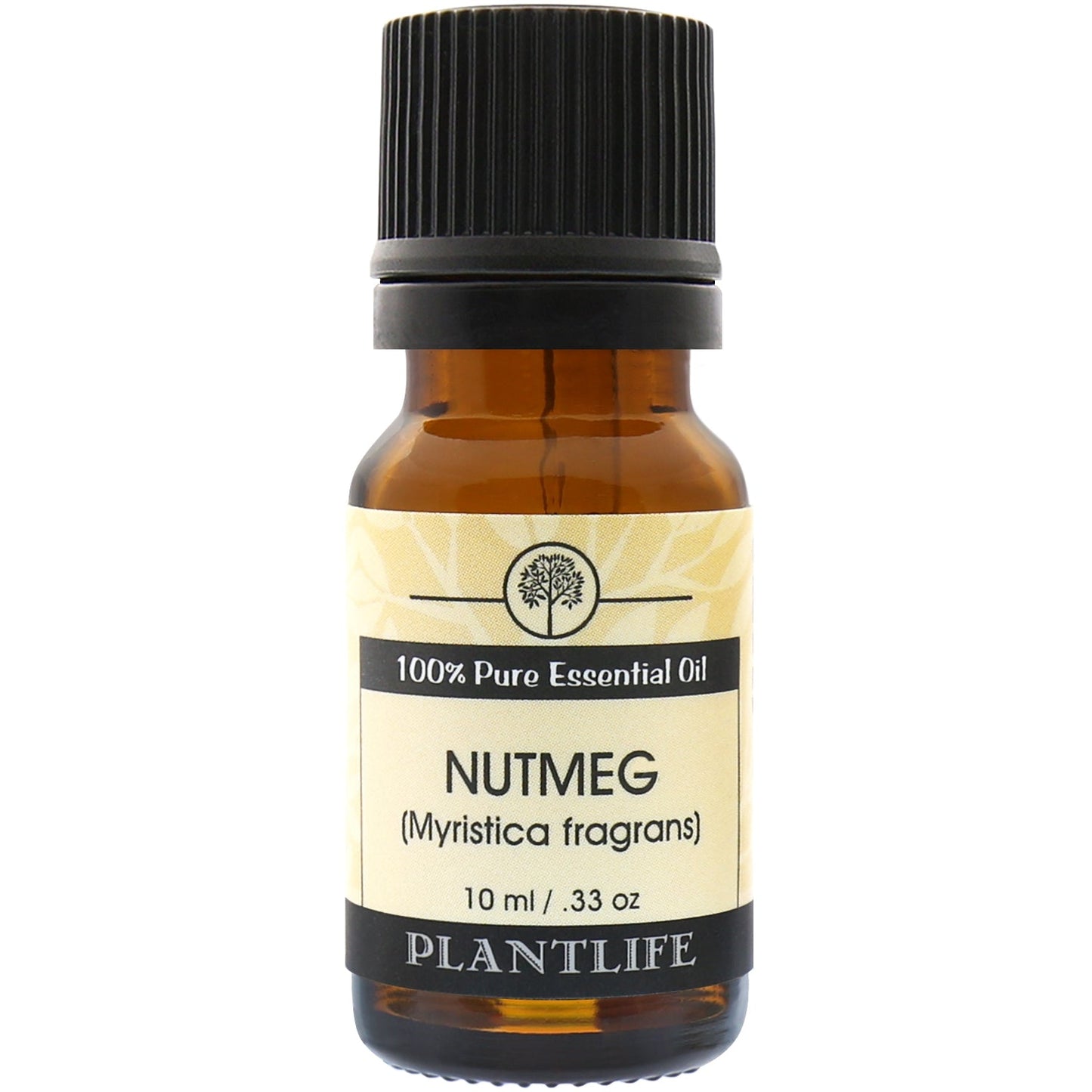 Nutmeg Essential Oil - Tree Spirit Wellness