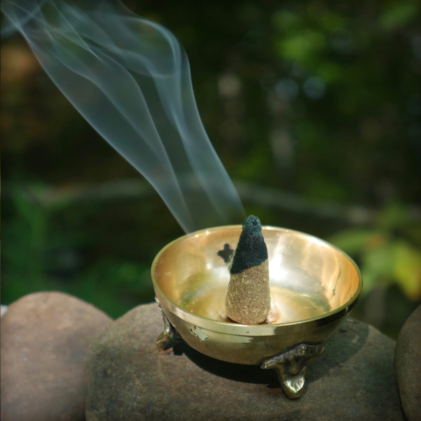 Palo Santo and Cinnamon - Protection & Prosperity - 6 Incense Cones - Tree Spirit Wellness