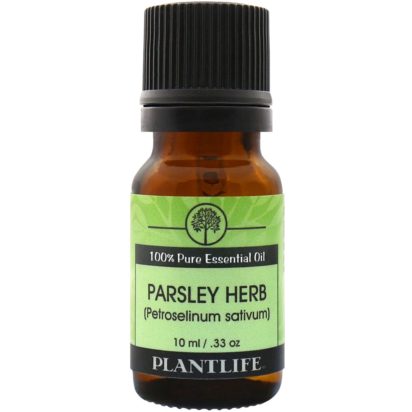 Parsley Herb Essential Oil - Tree Spirit Wellness