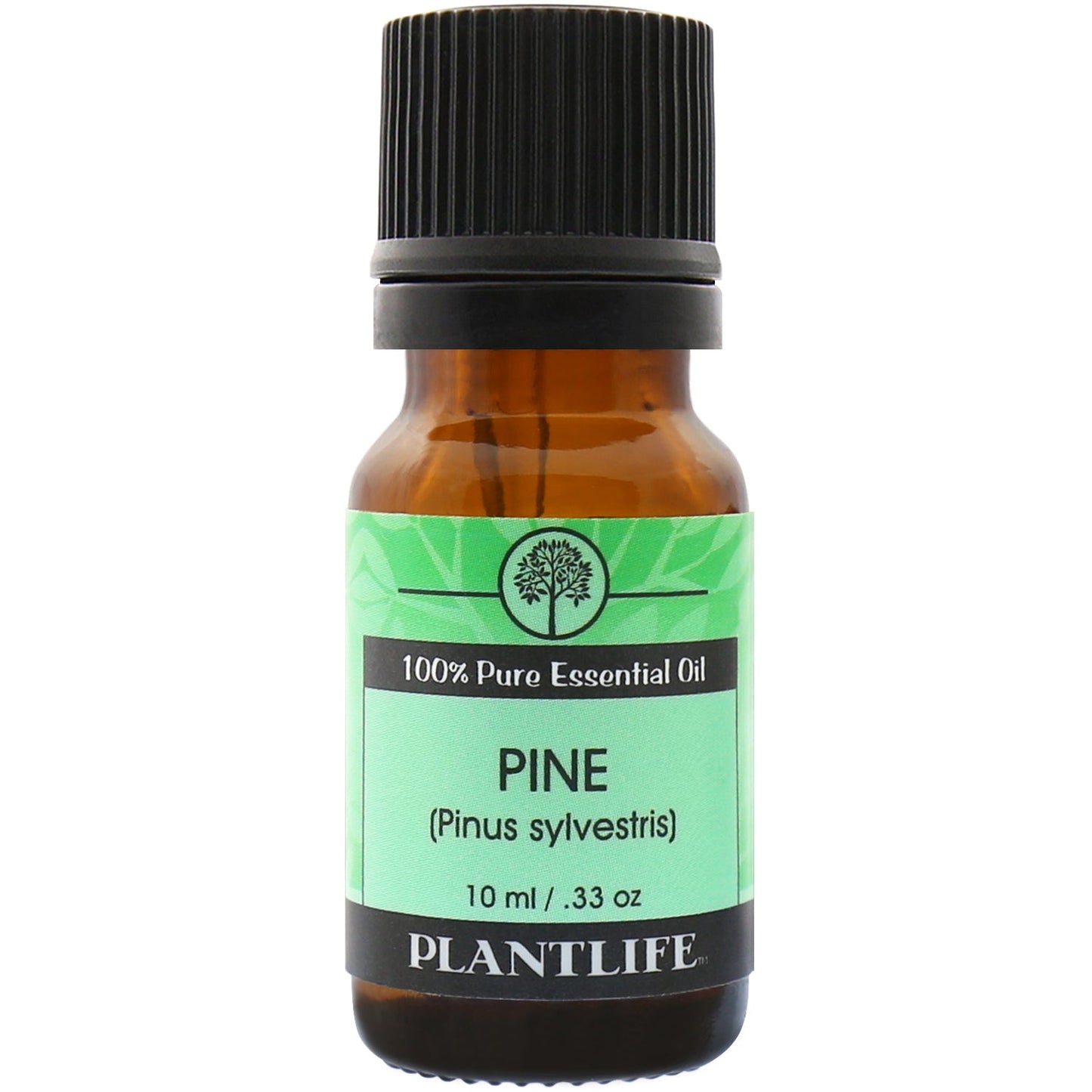 Pine Needle Essential Oil - Tree Spirit ellness
