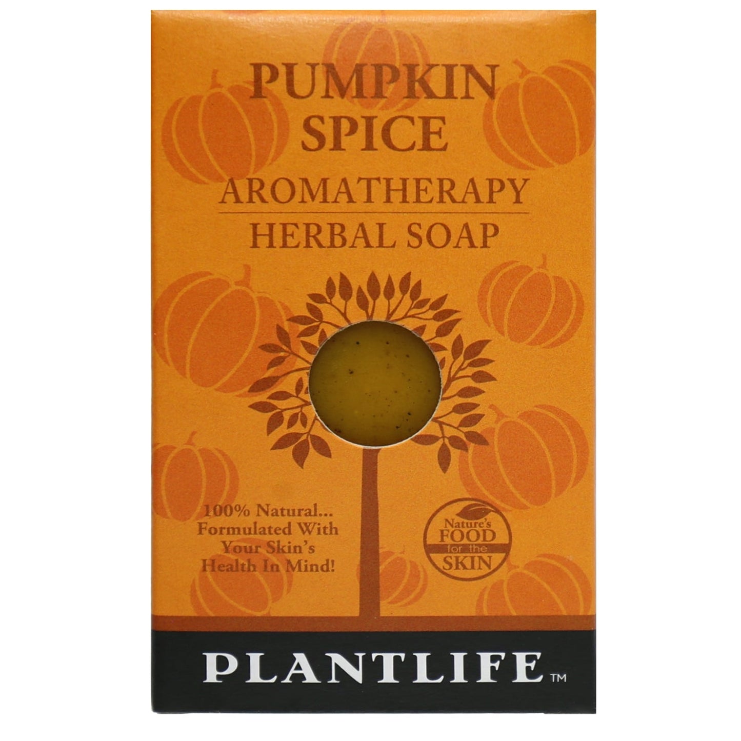 Pumpkin Spice Soap Sample- Tree Spirit Wellness