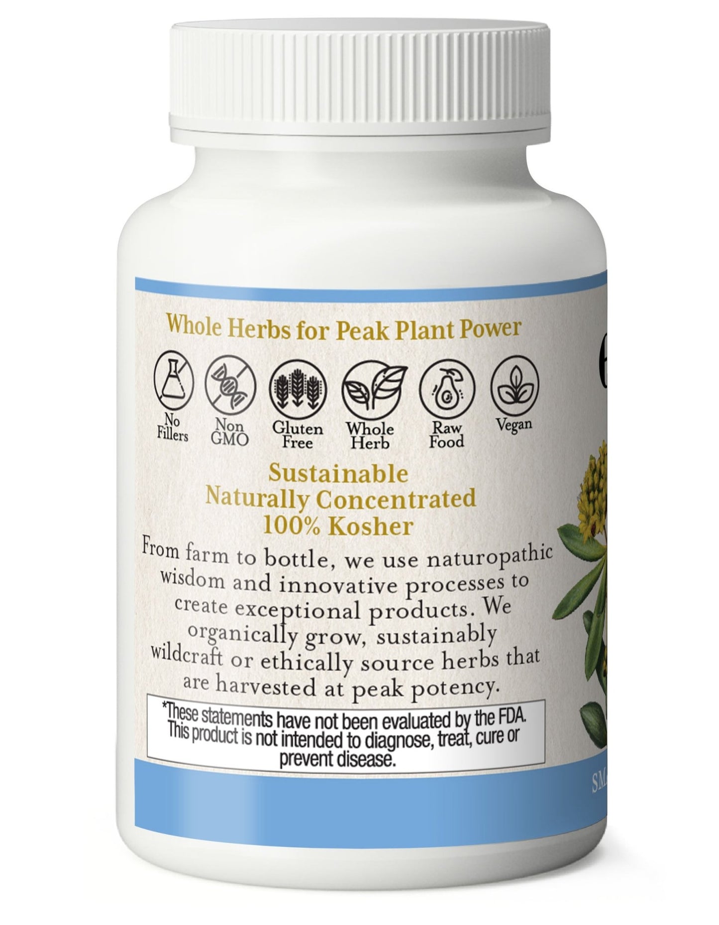 RHODIOLA CAPSULES - Tree Spirit Wellness